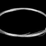 Bas de ligne petite riviere