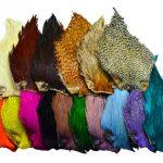 Cou de coq top grade