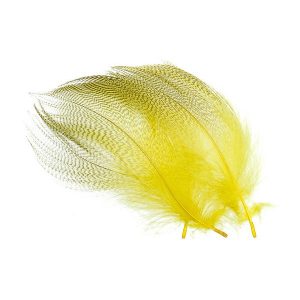 flanc de canard jaune