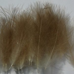 Cul de canard 25 plumes