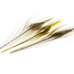 QUILL DE PAON ÉBARBÉ MIXTE