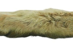 PATTES DE LIEVRE ARCTIQUE