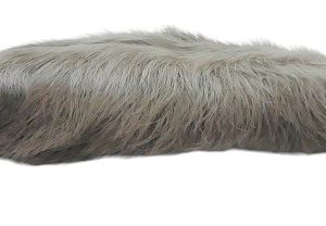 PATTES DE LIEVRE ARCTIQUE