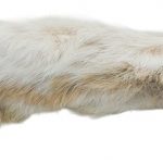 PATTES DE LIEVRE ARCTIQUE