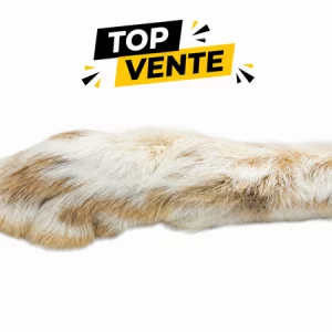 PATTES DE LIEVRE ARCTIQUE