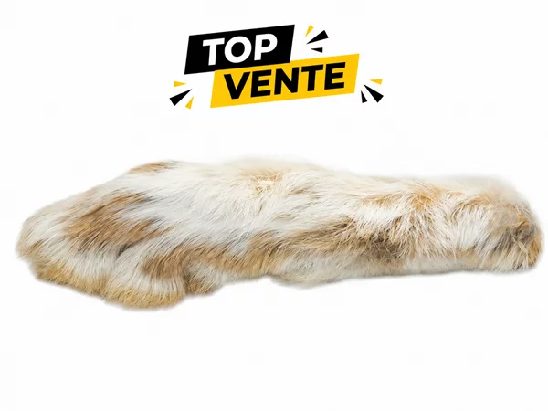 PATTES DE LIEVRE ARCTIQUE
