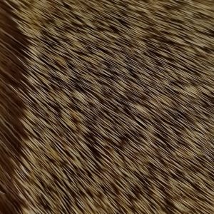 CHEVREUIL EXTRA FIN DVX