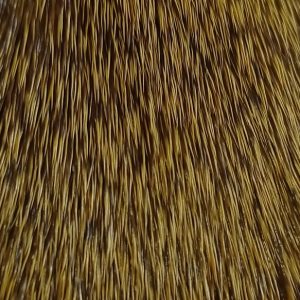 CHEVREUIL EXTRA FIN DVX