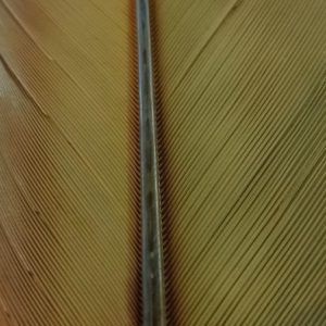 SUBSTITUT CONDOR PREMIUM LASER