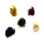 DUBBING DE PHOQUE VERITABLE